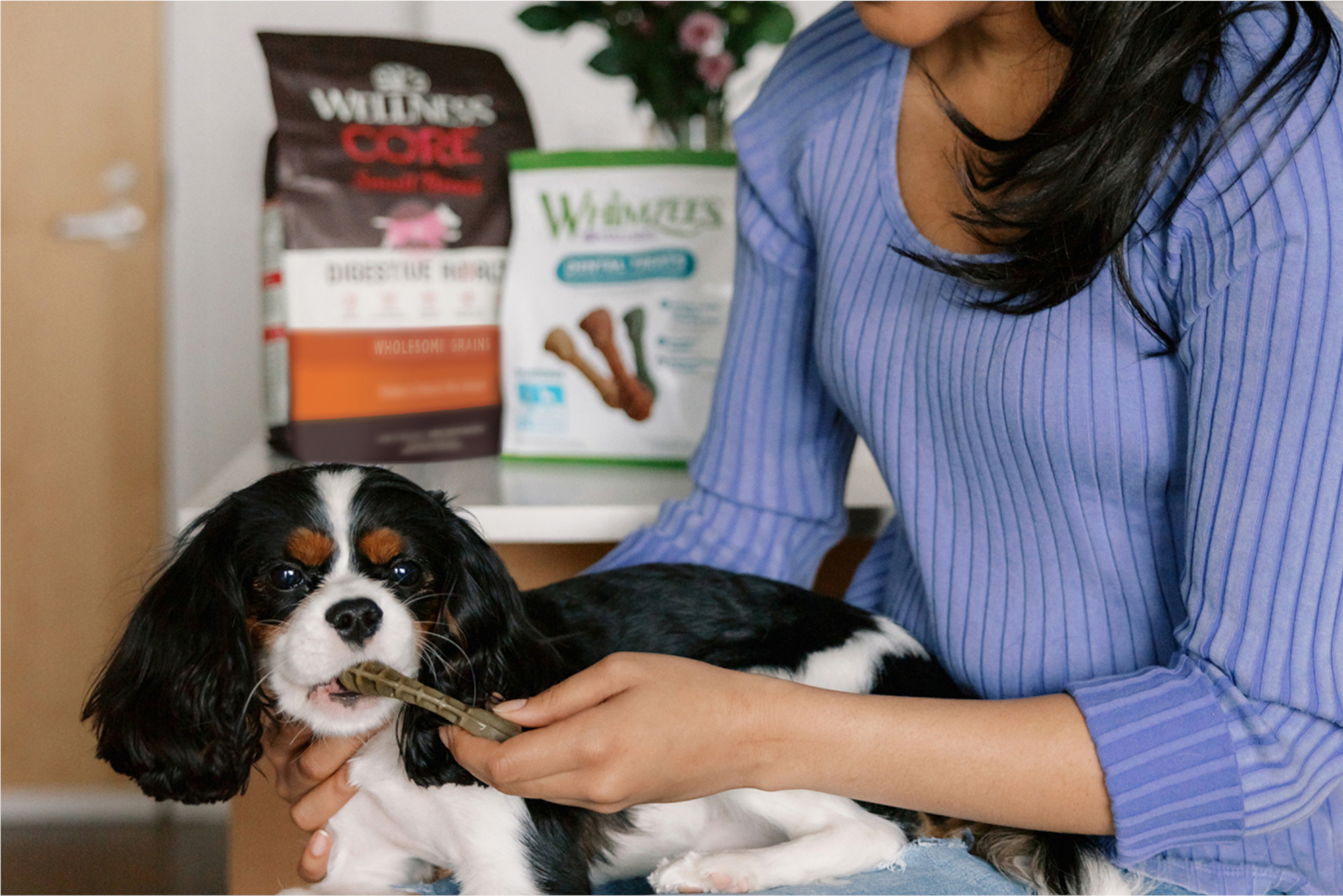 PetSmart Deal: Save 20% on Wellness Pet Food & Treats